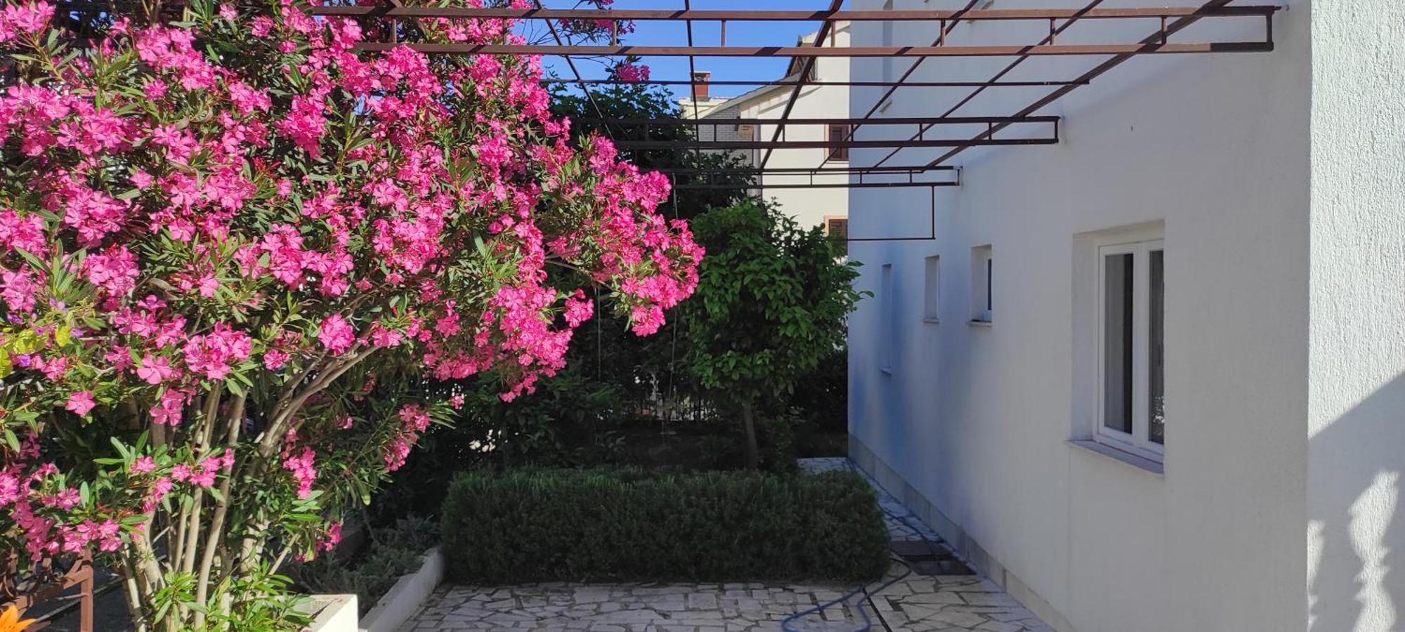 Villa Dusper Trogir Dış mekan fotoğraf